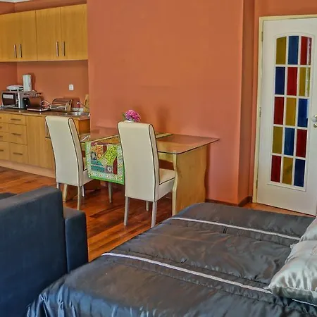 센터 스튜디오 라고스